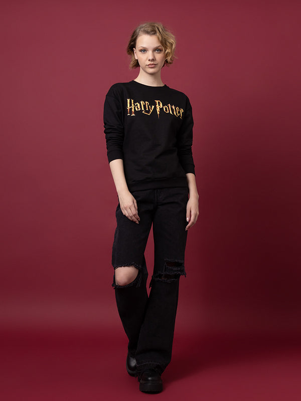 HARRY POTTER PULLOVER