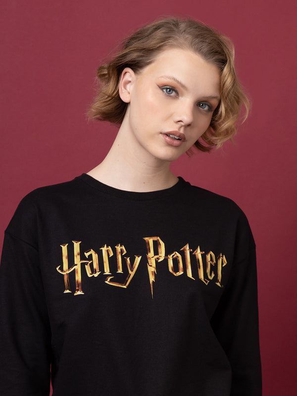 HARRY POTTER PULLOVER